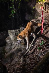 BIB: 
                            <button type="button" onclick="openModal(22163101)" class="btn btn-primary btn-sm float-right btn-popup" data-toggle="modal" data-target=".modal-high-quality">
                        <i class="fas fa-shopping-cart"></i> Add to Cart
                    </button>
                                            <button type="button" onclick="isThisMe(22163101, true)" class="btn btn-success btn-sm float-right btn-popup btn-isme hidden" data-toggle="tooltip" data-placement="bottom" title="นี่คือรูปของคุณใช่ไหม คลิกที่นี่เพื่อเอาเข้าอัลบั้ม">
                        <i class="fas fa-plus"></i> Add to album
                    </button>
                    <button type="button" onclick="isThisMe(22163101, false)" class="btn btn-warning btn-sm float-right btn-popup btn-isnotme hidden">
                        <i class="fas fa-ban"></i> Remove from album
                    </button>